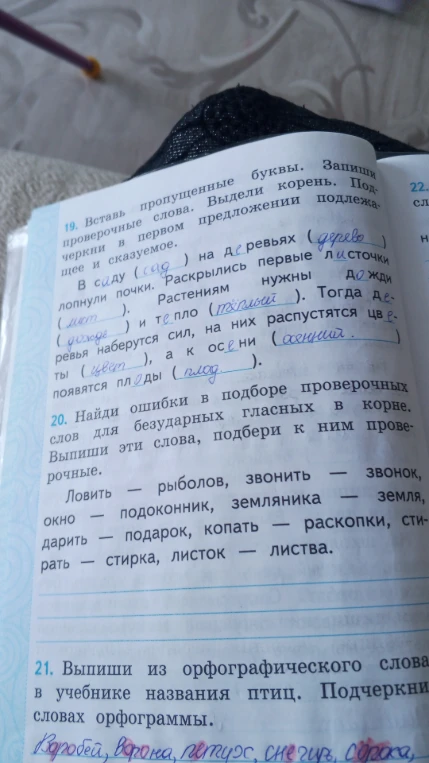 Вставь пропущенные буквы. Запиши проверочные слова. Выдели корень. Подчеркни в первом предложении подлежащее и сказуемое.