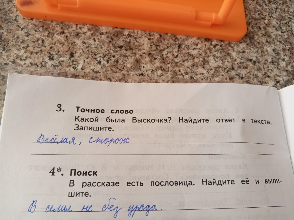 3. Точное слово. Какой была Выскочка? Найдите ответ в тексте. Запишите.