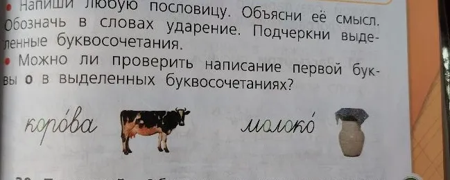 Напиши любую пословицу. Объясни её смысл. Обозначь в словах ударение. Подчеркни выделенные буквосочетания.
