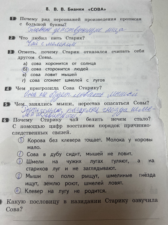 Какую пословицу в назидание Старику озвучила Сова?