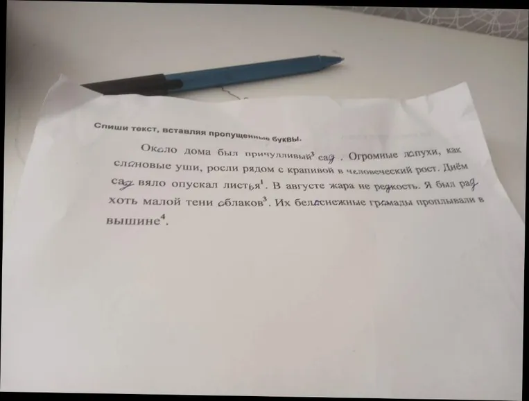 Спиши текст, вставляя пропущенные буквы.