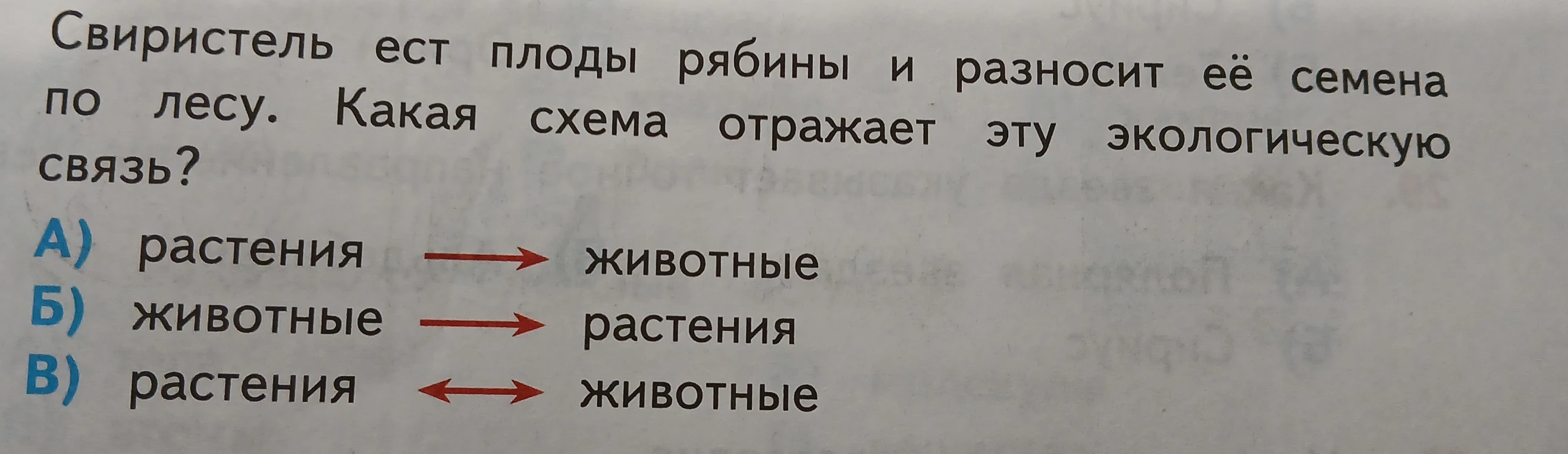 Свиристель ест плоды рябины и разносит её семена по лесу. Какая схема отражает эту экологическую связь?