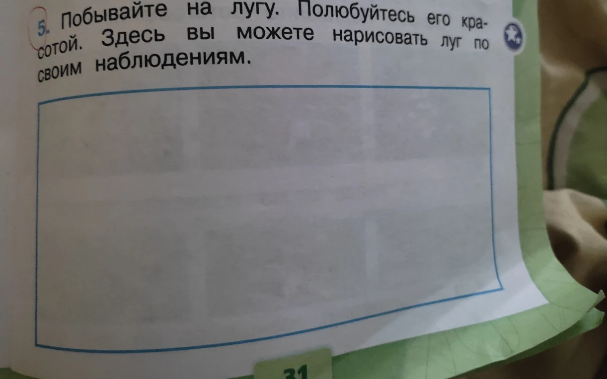 5. Побывайте на лугу. Полюбуйтесь его красотой. Здесь вы можете нарисовать луг по своим наблюдениям.