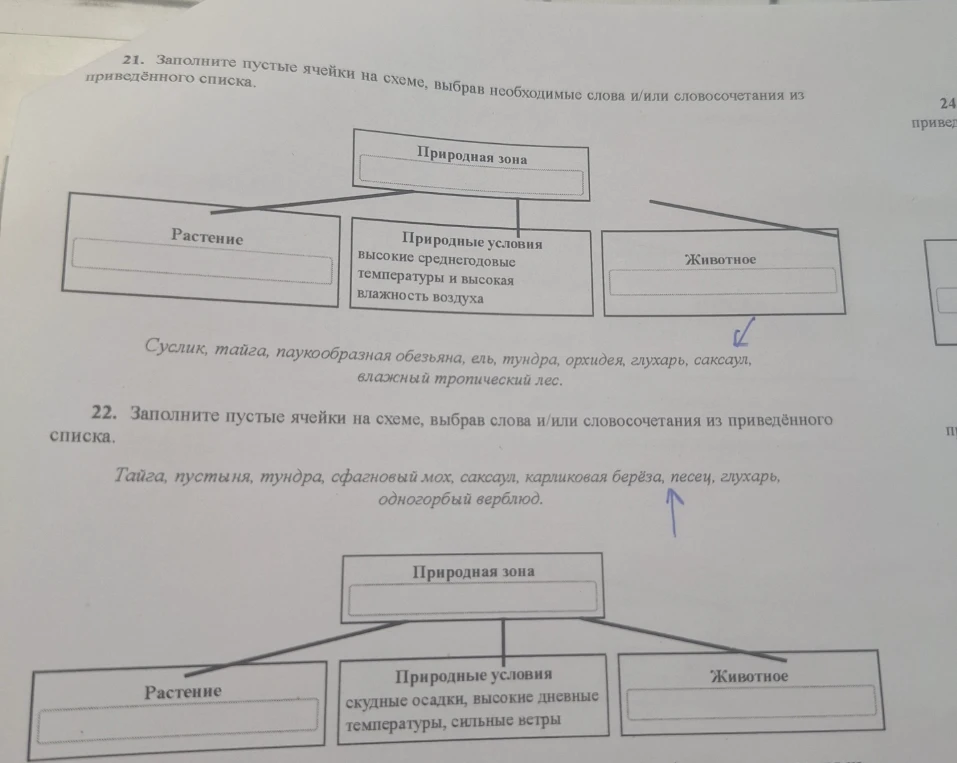 Заполните пустые ячейки на схеме, выбрав необходимые слова и/или словосочетания из приведённого списка.