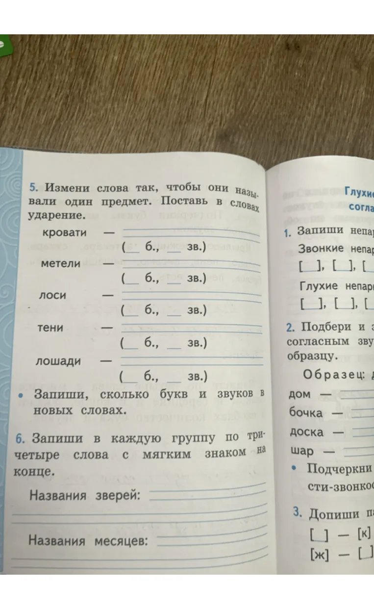 5. Измени слова так, чтобы они называли один предмет. Поставь в словах ударение.