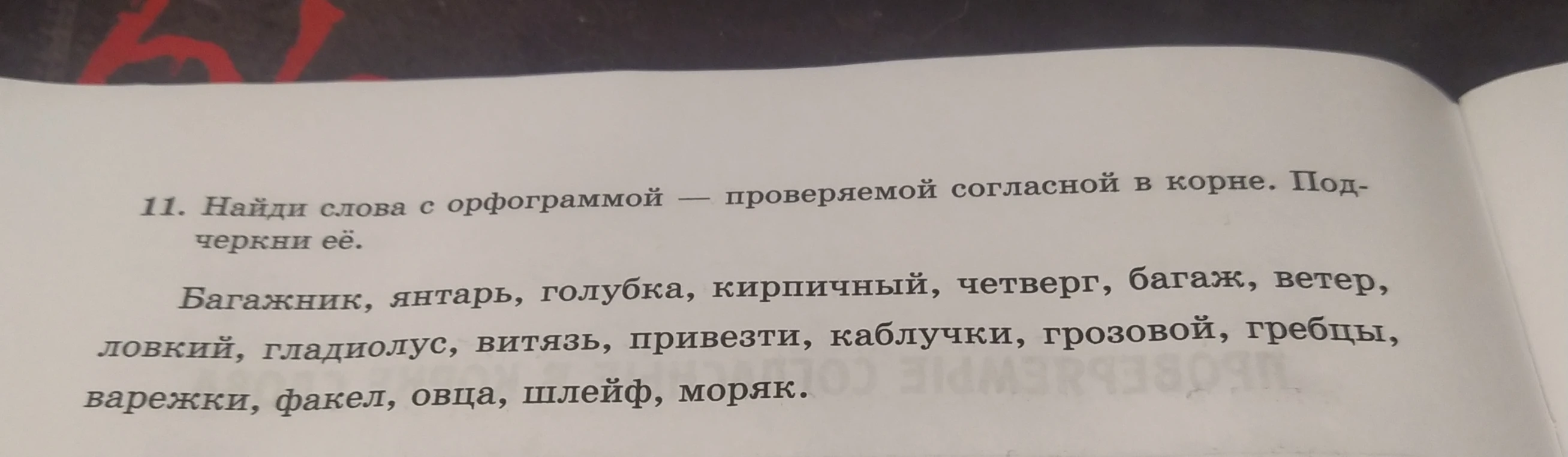 11. Найди слова с орфограммой — проверяемой согласной в корне. Подчеркни её.