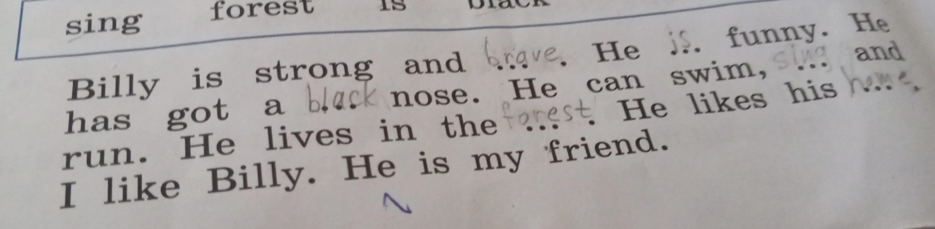 Billy is strong and ... . He is funny. He has got a ... nose. He can swim, ... and run. He lives in the ... . He likes his ... .