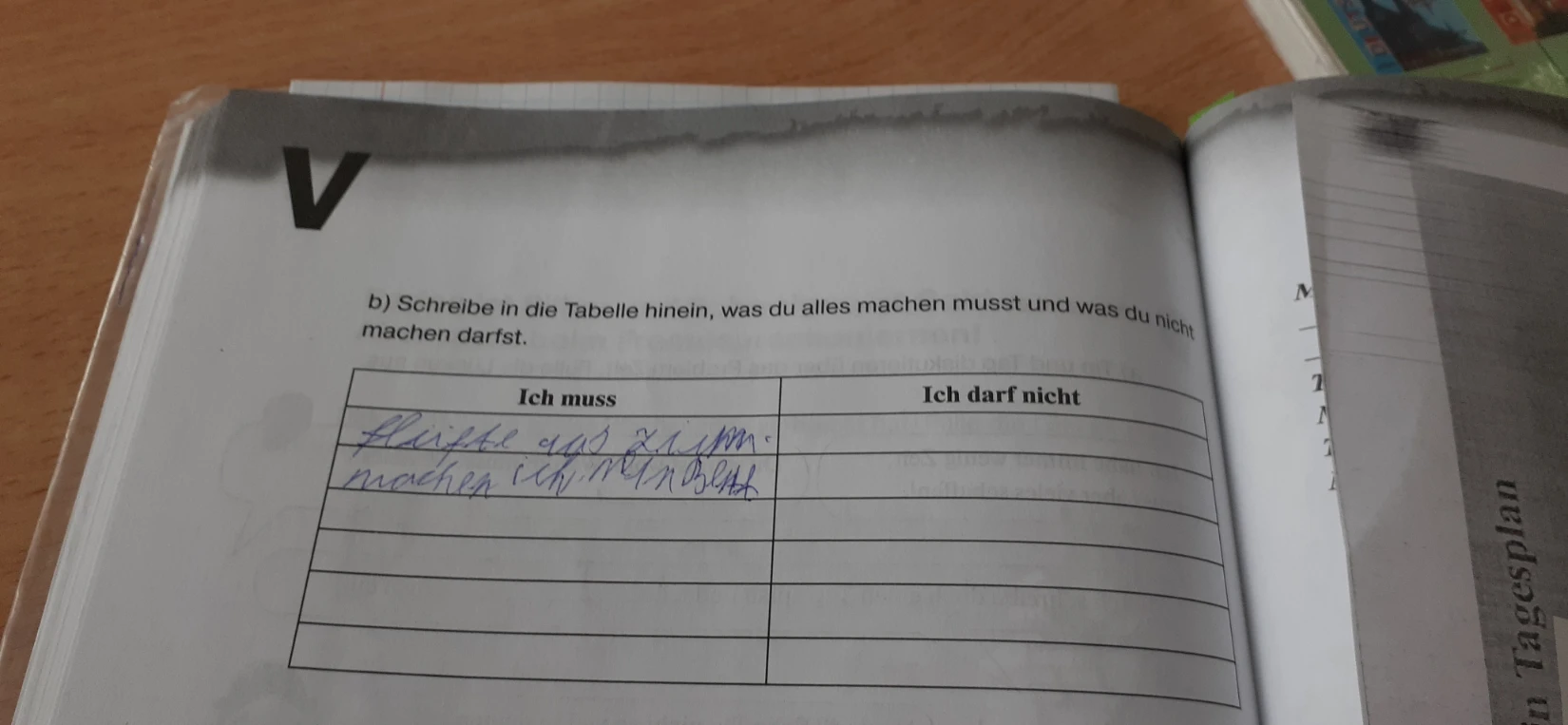 Schreibe in die Tabelle hinein, was du alles machen musst und was du nicht machen darfst.