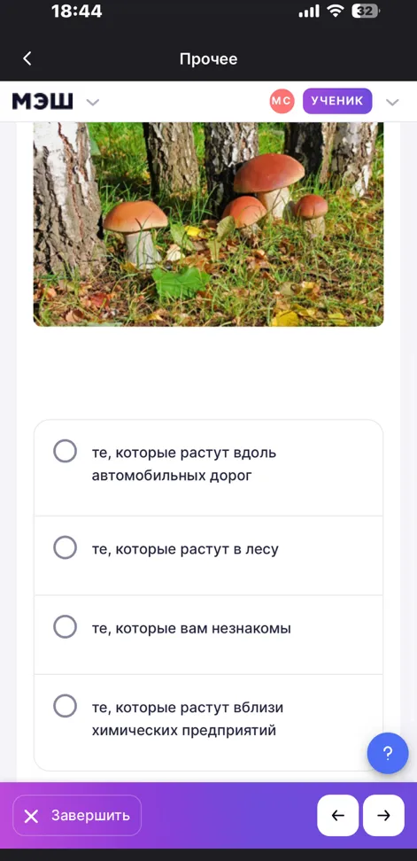 грибы рекомендуется собирать