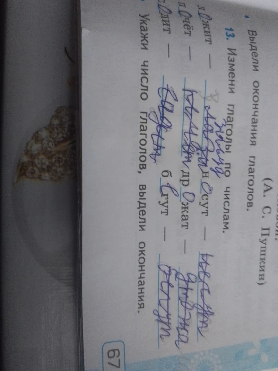 13. Измени глаголы по числам.