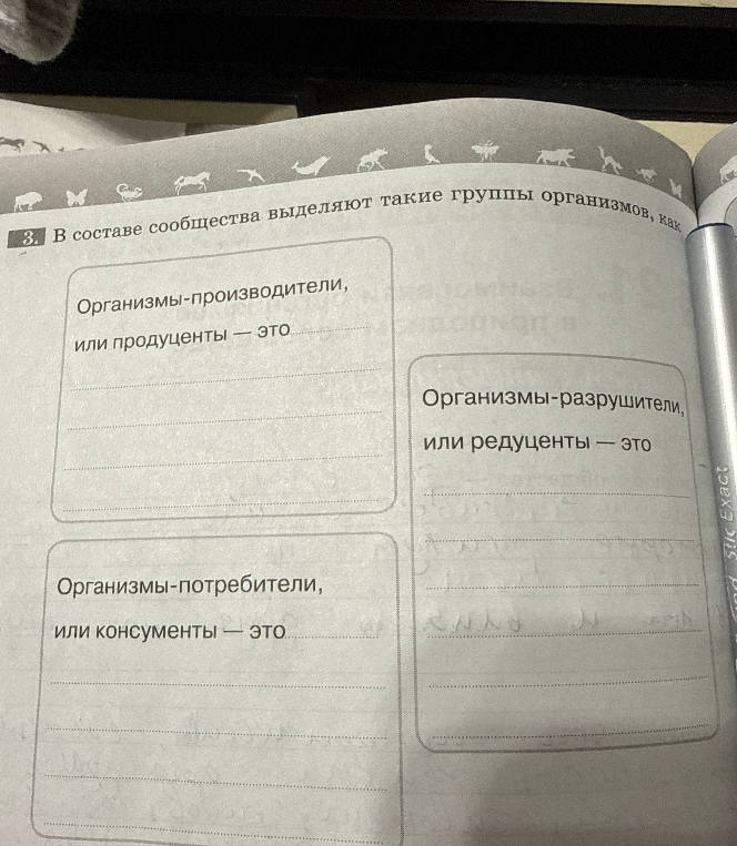 В составе сообщества выделяют такие группы организмов, как
