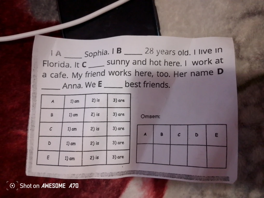 I A ____ Sophia. I B ____ 28 years old. I live in Florida. It C ____ sunny and hot here. I work at a cafe. My friend works here, too. Her name D ____ Anna. We E ____ best friends.