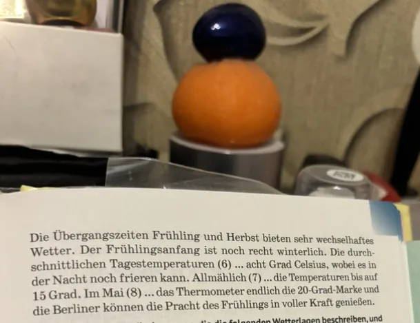 Höre dir den Bericht noch einmal an und ergänze die fehlenden Verben.