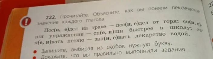 222. Прочитайте. Объясните, как вы поняли лексическое значение каждого глагола. Пос(и, е)дел на траве — пос(и, е)дел от горя; сп(и, е)ши упражнение — сп(е, и)ши быстрее в школу; зап(и, е)вать лекарство водой — п(е, и)вать песню.