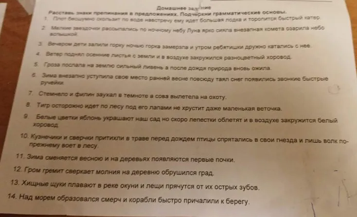 Расставь знаки препинания в предложениях. Подчеркни грамматические основы.