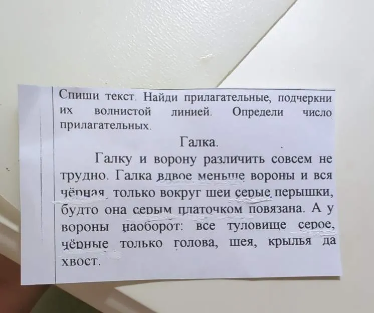 Спиши текст. Найди прилагательные, подчеркни их волнистой линией. Определи число прилагательных.
