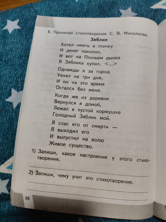5. Прочитай стихотворение С. В. Михалкова. Зяблик. 1) Запиши, какое настроение у этого стихотворения. 2) Запиши, чему учит это стихотворение.