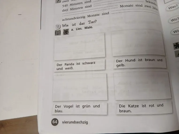 12. Wie ist das Tier? a. Lies. Male.