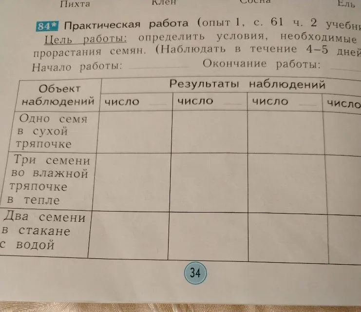 84* Практическая работа (опыт 1, с. 61 ч. 2 учебни Цель работы: определить условия, необходимые прорастания семян. (Наблюдать в течение 4-5 дней