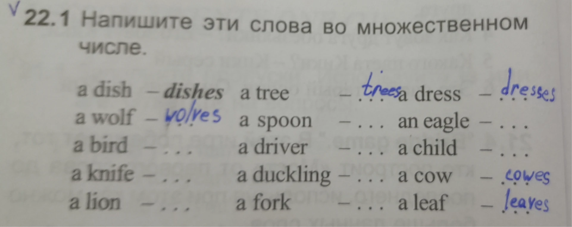 Напишите эти слова во множественном числе.