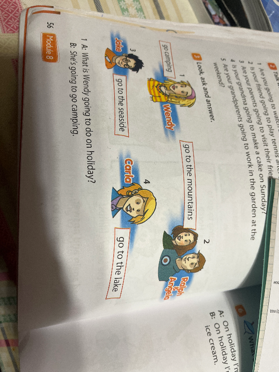 3 Look, ask and answer.