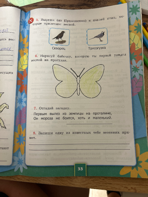 5. Вырежи (из Приложения) и наклей птиц, которые прилетают весной.