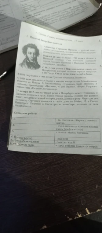 Словарная работа: 1. - то, что пчела собирает с полевых цветов. 2. - очень маленькое и тесное жилище пчелы (ячейка в сотах) 3. - полная тишина, молчание.