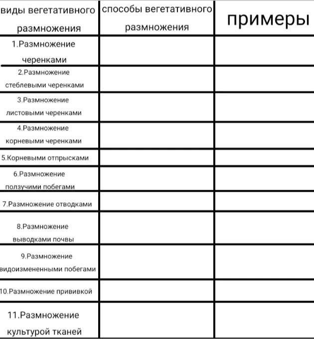 виды вегетативного размножения
