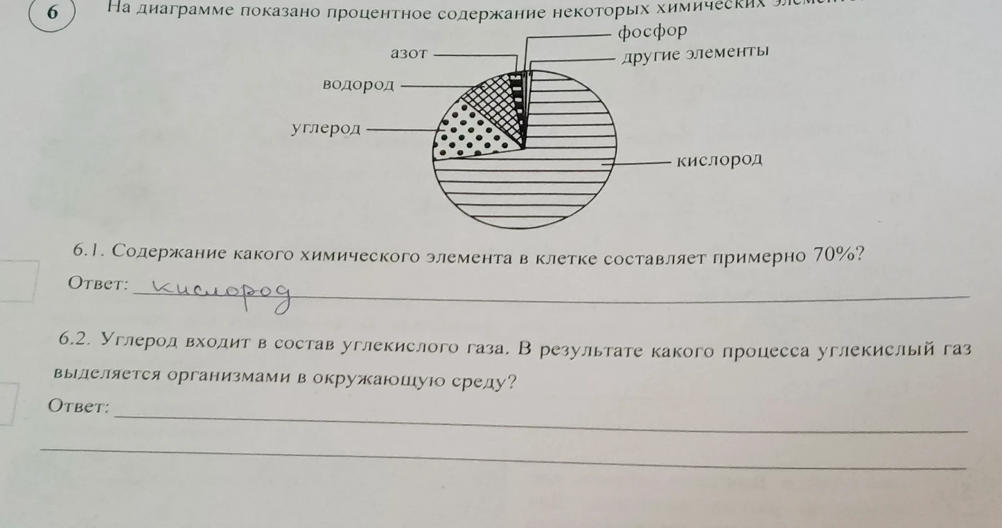 Углерод входит в состав углекислого газа. В результате какого процесса углекислый газ выделяется организмами в окружающую среду?