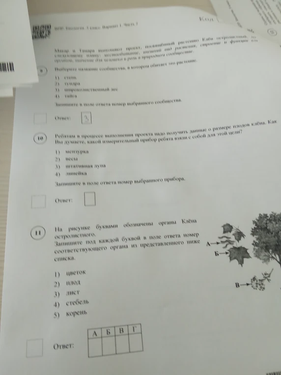 Ребятам в процессе выполнения проекта надо получить данные о размере плодов клёна. Как Вы думаете, какой измерительный прибор ребята взяли с собой для этой цели?