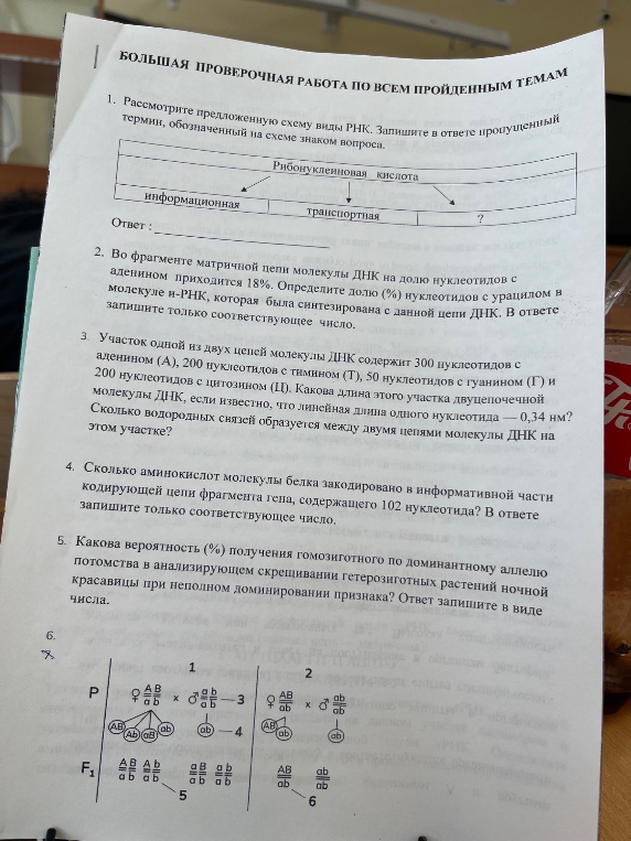 1. Рассмотрите предложенную схему виды РНК. Запишите в ответе пропущенный термин, обозначенный на схеме знаком вопроса.