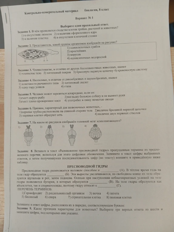 Задание 1. В чём проявляется сходство клеток грибов, растений и животных?