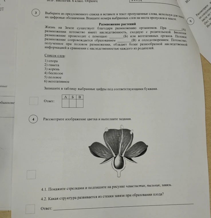 Выберите из предложенного списка и вставьте в текст пропущенные слова, используя для этого их цифровые обозначения. Впишите номера выбранных слов на места пропусков в тексте.