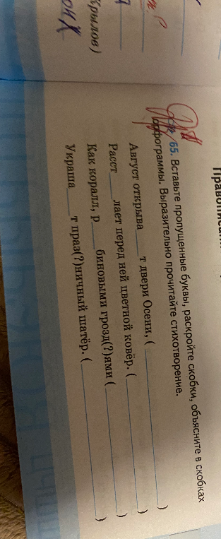 65. Вставьте пропущенные буквы, раскройте скобки, объясните орфограммы. Выразительно прочитайте стихотворение.