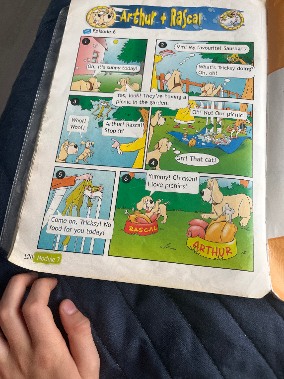 Arthur + Rascal. Episode 6. A comic strip about dogs and a cat.