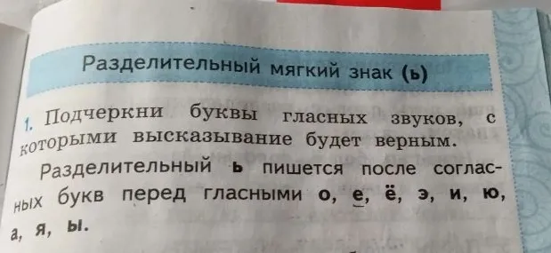 Подчеркни буквы гласных звуков, с которыми высказывание будет верным.