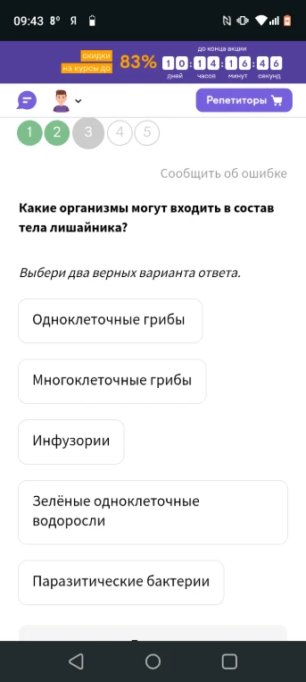 Какие организмы могут входить в состав тела лишайника?