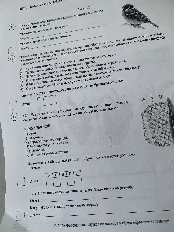 Рассмотрите изображённое на рисунке животное и опишите его, выполнив задания.