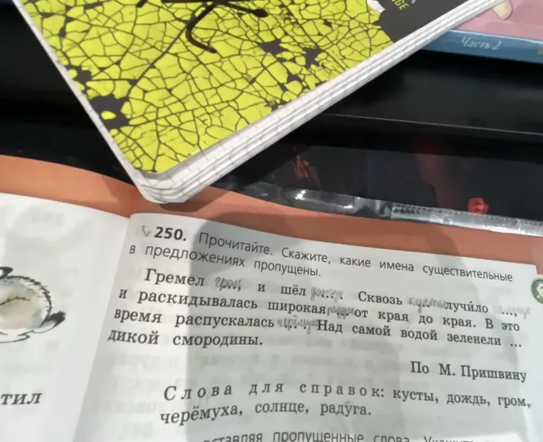 250. Прочитайте. Скажите, какие имена существительные в предложениях пропущены.