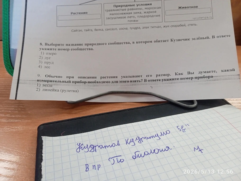 Выберите название природного сообщества, в котором обитает Кузнечик зелёный.
