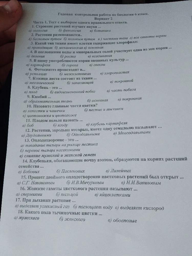 Годовая контрольная работа по биологии 6 класс. Вариант 2. Часть 1. Тест с выбором одного правильного ответа.