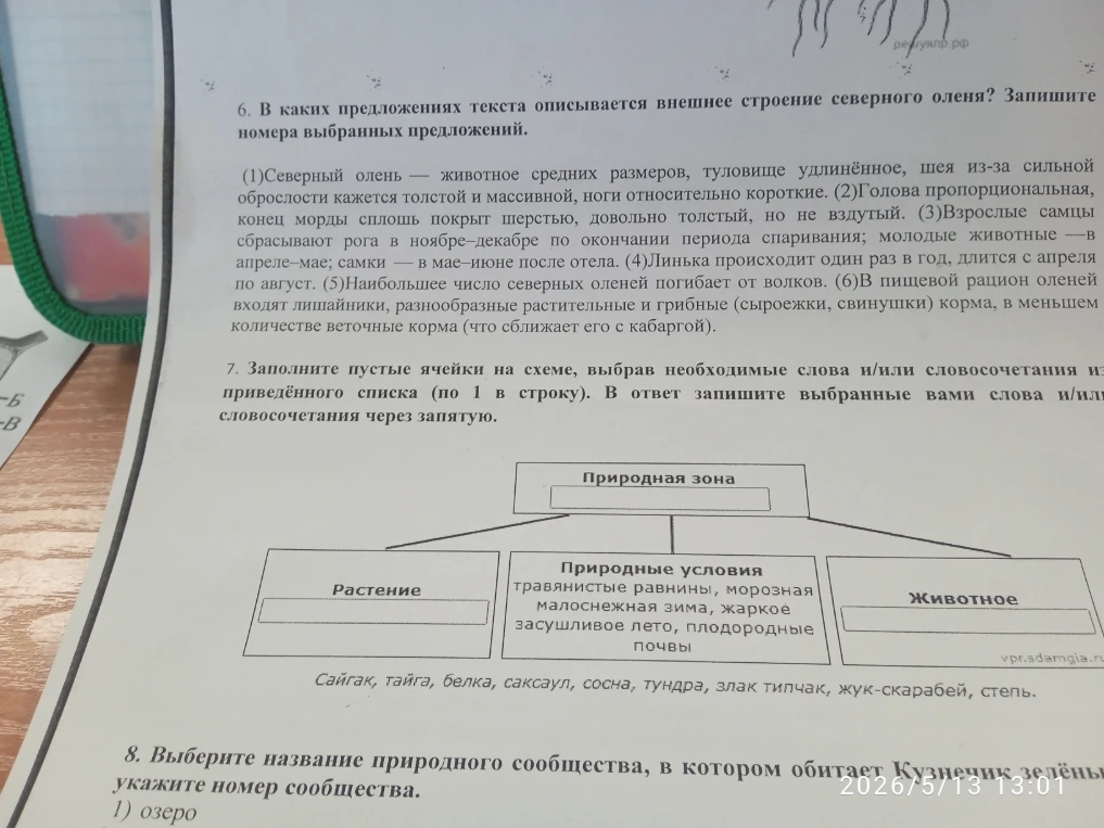 6. В каких предложениях текста описывается внешнее строение северного оленя? Запишите номера выбранных предложений.