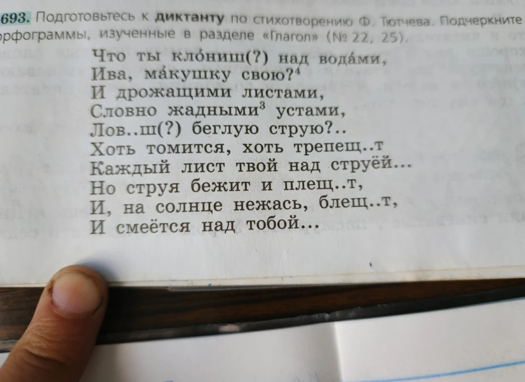 Подготовьтесь к диктанту по стихотворению Ф. Тютчева. Подчеркните орфограммы, изученные в разделе «Глагол» (№ 22, 25).