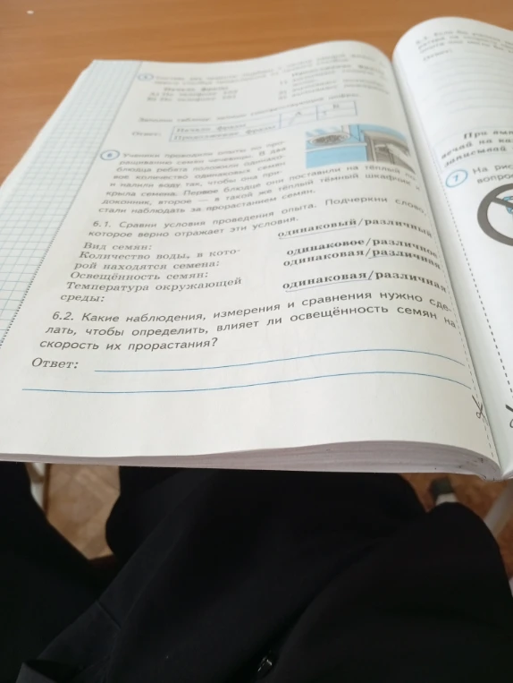 6.1. Сравни условия проведения опыта. Подчеркни слово, которое верно отражает эти условия.