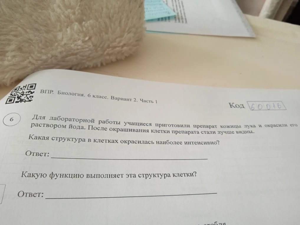 Для лабораторной работы учащиеся приготовили препарат кожицы лука и окрасили его раствором йода. После окрашивания клетки препарата стали лучше видны. Какая структура в клетках окрасилась наиболее интенсивно?