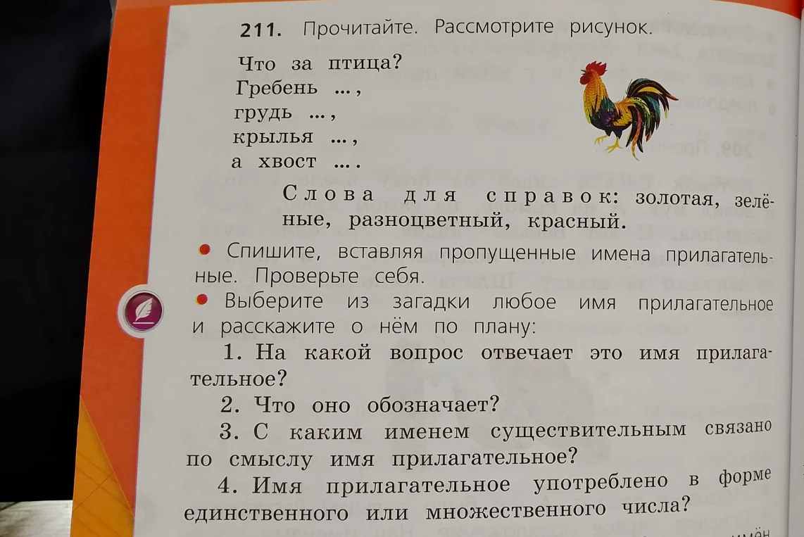 211. Прочитайте. Рассмотрите рисунок. Что за птица? Гребень ..., грудь ..., крылья ..., а хвост ....