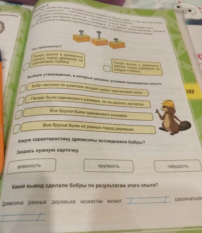 Задание 4. Так почему же одни деревья легко поддаются нашим зубам, а над другими нужно потрудиться?