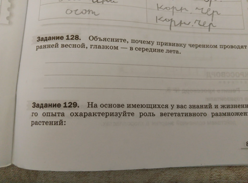 Объясните, почему прививку черенком проводят ранней весной, глазком — в середине лета.