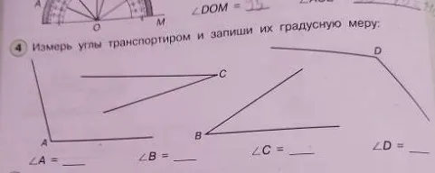 Измерь углы транспортиром и запиши их градусную меру: