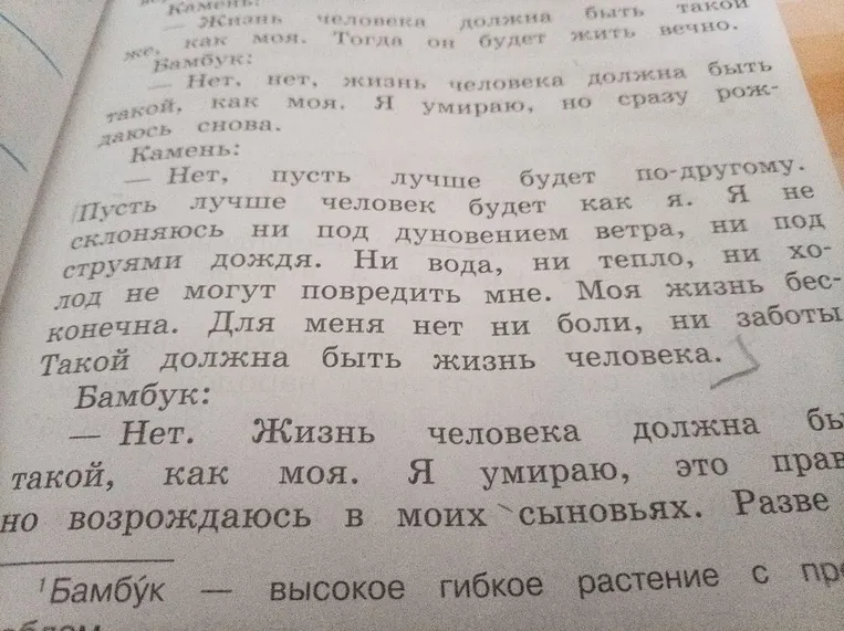 Проанализируй диалог между Камнем и Бамбуком о смысле жизни человека.